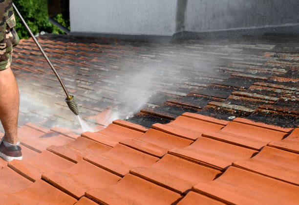 Best Garage Pressure Washing  in Tipton, IA
