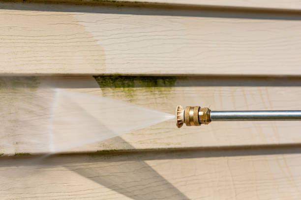 Best Pressure Washing Siding  in Tipton, IA