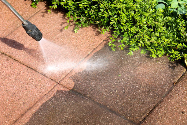 Best House Pressure Washing  in Tipton, IA